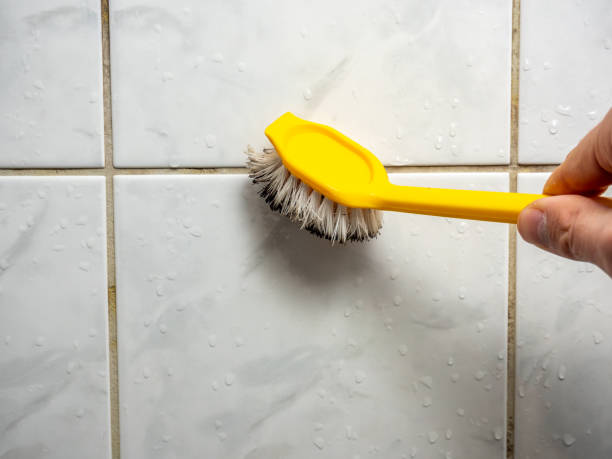 Water Damage Restoration in Shelton, CT