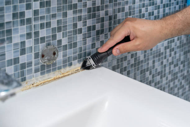 Home Mold Removal in Shelton, CT