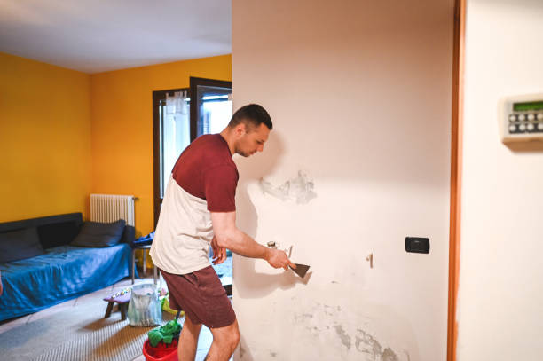 Best Emergency Mold Removal  in Shelton, CT